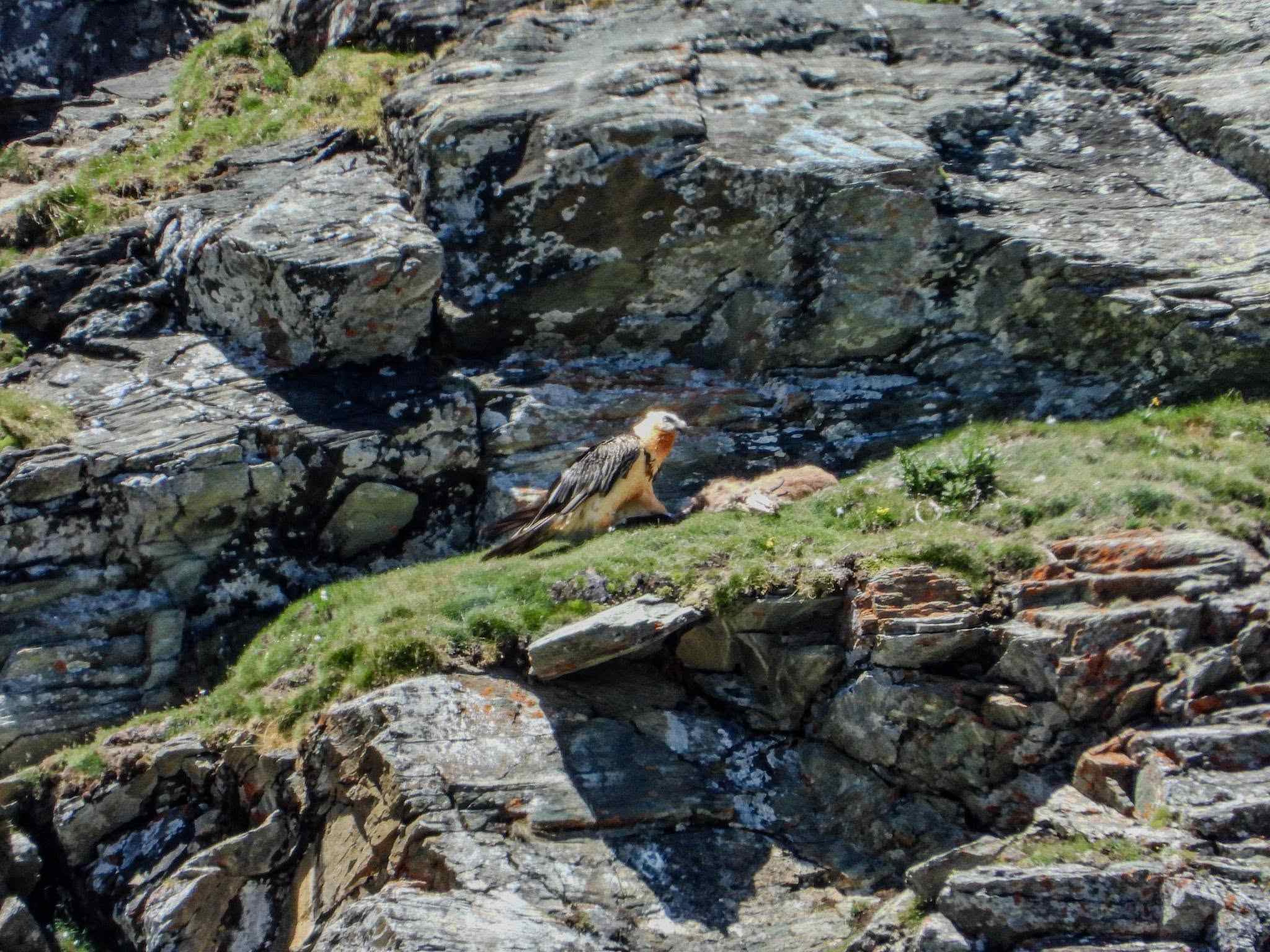 Foto Alder-Costabel/gu_05.jpg