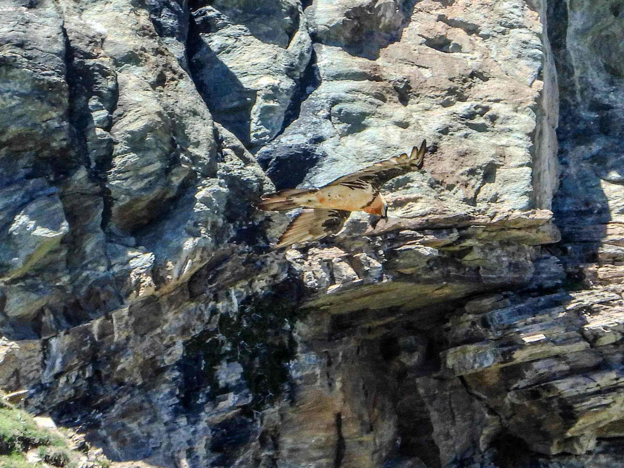 Foto Alder-Costabel/gu_06.jpg