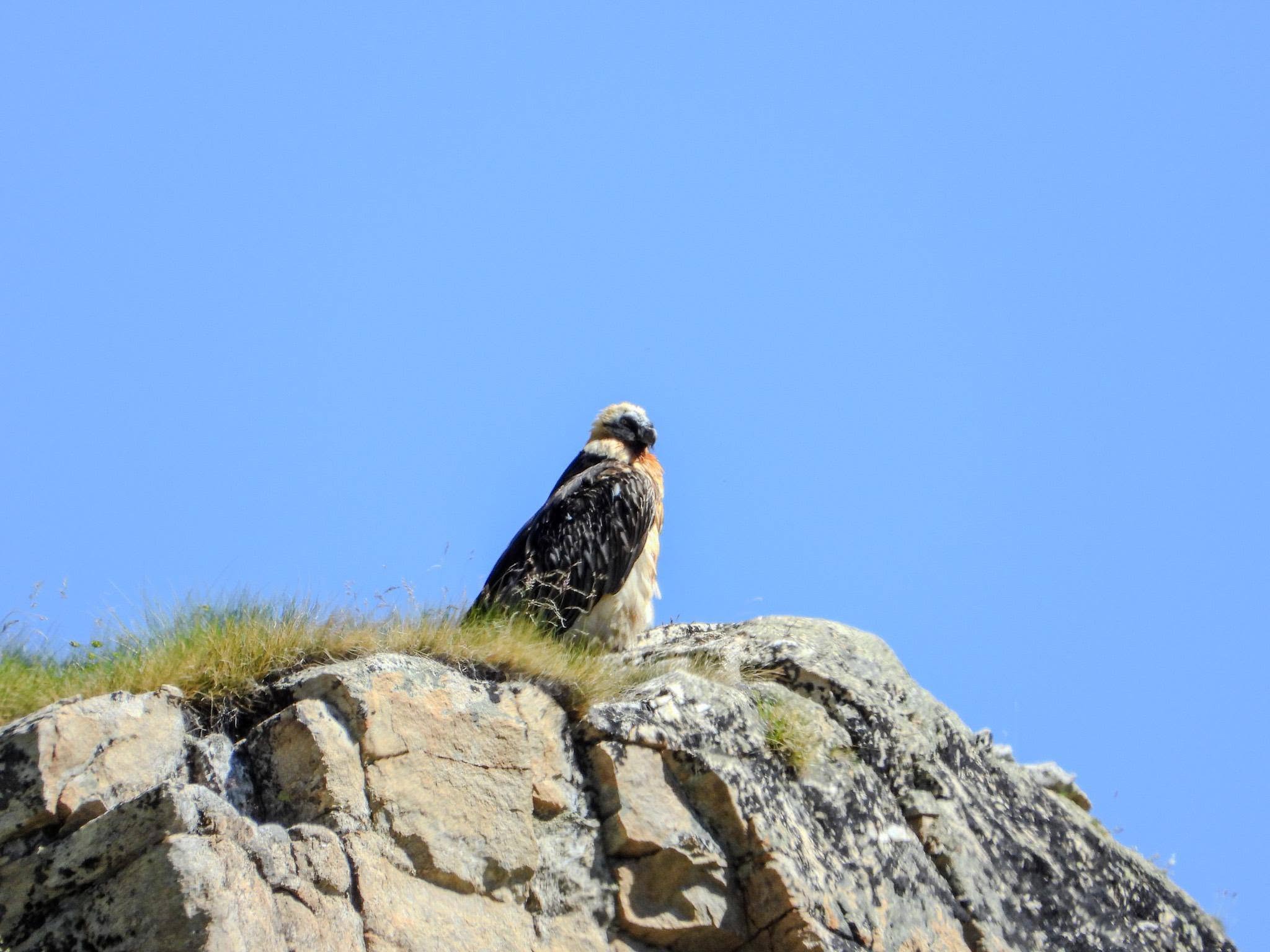 Foto Alder-Costabel/gu_09.jpg